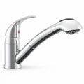 Pull-Out RV Kitchen Faucet with Optional Deck Plate (DF-NMK852)